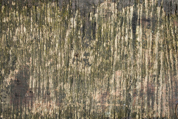 Damaged and weathered plywood, grunge texture