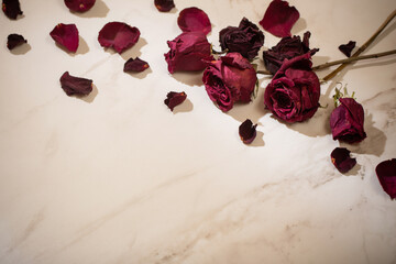 dried red  roses on marble background
