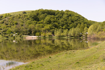 Fototapeta premium Beautiful lake with yellow flowers.