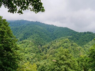 Fototapeta na wymiar Panoramic view of Mtirala National Park, Georgia.