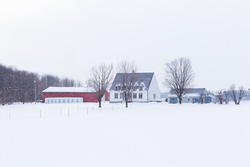 Winter landscape featuring a patrimonial white clapboard farm house with pitched shingled roof, red barn and other outbuildings in land covered in fresh snow, Saint-Vallier, Quebec, Canada