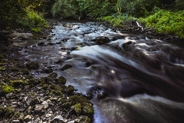 River rapid stream flow through summer forest