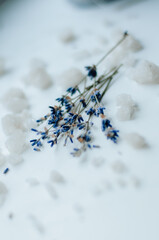 Lavender and sea salt in bowl, closeup