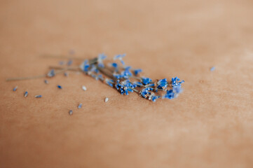 lavender on the background, sea salt