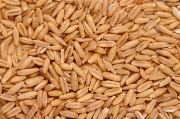 Macro photo of oatmeal. Texture, background of dry uncrushed oatmeal.Healthy, delicious food, source of amino acids.Top view

