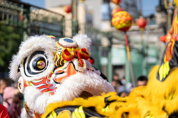 Dragon and lion dance show in chinese new year festival (Tet festival ), lion Dance - dragon and lion dance street performances in Vietnam. Selective focus.