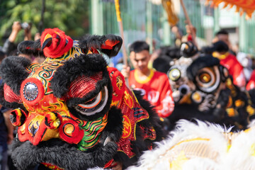 Fototapeta na wymiar Dragon and lion dance show in chinese new year festival (Tet festival ), lion Dance - dragon and lion dance street performances in Vietnam. Selective focus.