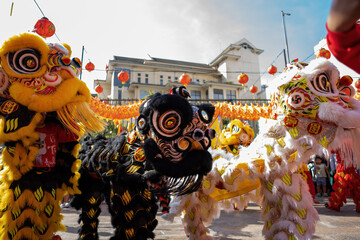 Dragon and lion dance show in chinese new year festival (Tet festival ), lion Dance - dragon and...