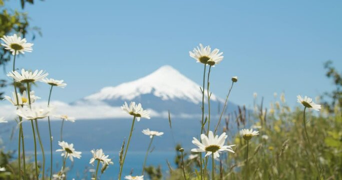 Vista del Volc&aacute;n Osorno, en el sur de Chile