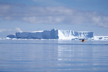 Antarctic Travel - Kayaking