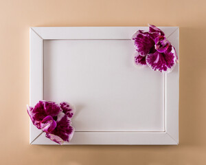 Background template with a place to copy text and red flowers in the corners of a white frame in pastel colors.