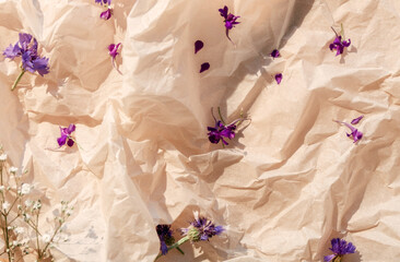 Floral composition. Herbal background. Nature decoration. Purple white dried plant flowers buds on...