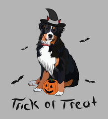 Dog Halloween greeting card with a sitting Berner Sennenhund dog. Dog in a costume, pumpkin in a paw. Postcard for pet lovers. Pet character postcard art. Funny Bernese Mountain dog mascot. 