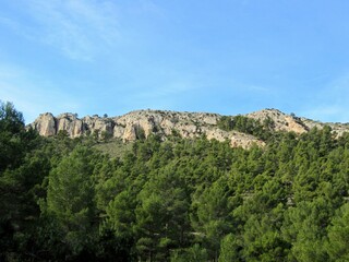 Fototapeta na wymiar Sierra de Castalla Alicante Spain and pine forest