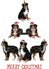 Bernese Mountain dogs wearing winter hats. Cute funny dogs. Abstract Christmas tree. Vector illustration. Merry Christmas greeting card with the cute funny dogs, holiday, purebred with happy eyes. - obrazy, fototapety, plakaty
