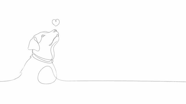 Linear drawing of a labrador, a dog and a heart. The dog is human friend. Gradually developing picture