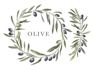Olive wreath in watercolor style on a transparent background. Hand-drawn watercolor floral illustration for your design.
