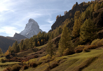 View of the Matterhorn from Zermatt showing Autumn colours - obrazy, fototapety, plakaty