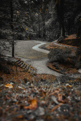 Herbst im Park mit Goldenen Blättern 