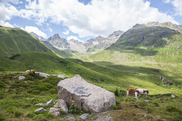 Fototapeta na wymiar Silvretta Mountain Range in Vorarlberg, Austria