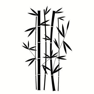 Handdrawn Black Bamboo Plant Vertical In White Background Vector © Tetiana