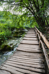 wooden bridge in the forest