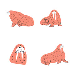 Cute walrus in Scandinavian style on a white background. Vector hand drawn kids illustration. Sea ocean. Underwater world