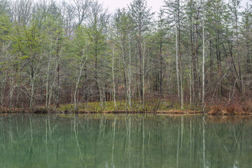 Reflections of bare trees on the lake