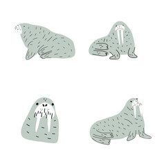 Cute walrus in Scandinavian style on a white background. Vector hand drawn kids illustration. Sea ocean. Underwater world