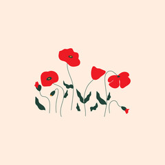 Tender vector illustration of red poppies. Floral print with poppies.