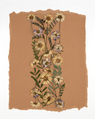 Oshibana floristry botanical pressed flower art. Composition of dry plants. Dried wildflowers frame on beige background.