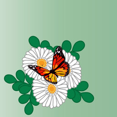 Vector image, background, print of white daisies with green leaves and a monarch butterfly on a green background. Graphic design.