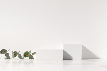 Minimal scene for beauty cosmetic product presentation made with white cubes and eucalyptus branch on white background.