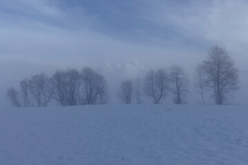 Landschaftsidylle im Winter am Morgen.