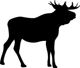 Silhouette Moose with great antler on white background