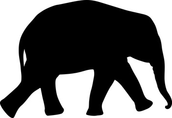 Fototapeta premium Silhouette a little elephant on a white background.