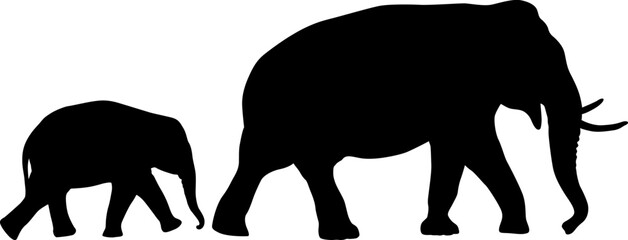 Silhouette a little and large African elephant on a white background