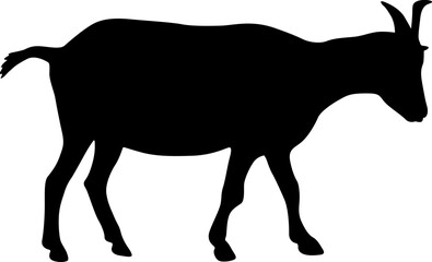 Silhouette goat animal farm on a white background