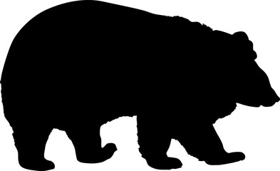 Silhouette brown bear on a white background