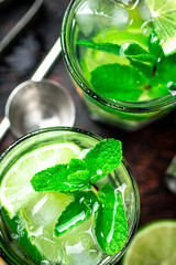 Mojito with a sprig of mint and ice. 