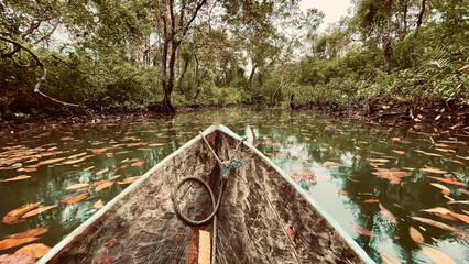 boat on Arusí river in the pacific coast of Colombia  © Pipojackman