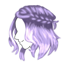 Hairstyle drawn in vector graphics