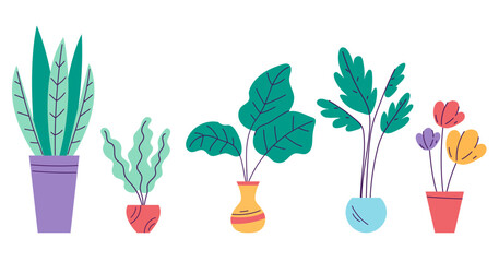 Home flower plant in pot isolated on white background set. Doodle line art style concept set. Vector cartoon graphic design element illustration
