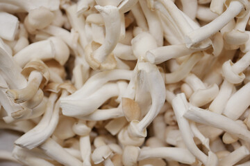 Shimeji mushroom in bowl on white background.