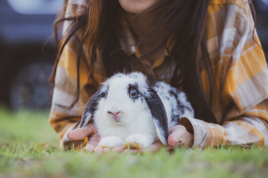 relationships of cheerful rabbit and happy young human girl, domestic friendship family of little cute easter pet and friends person having smile and fun, animal love and care at home concept