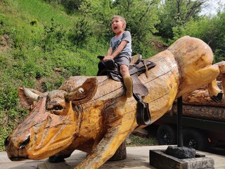 Boy riding wooden bull