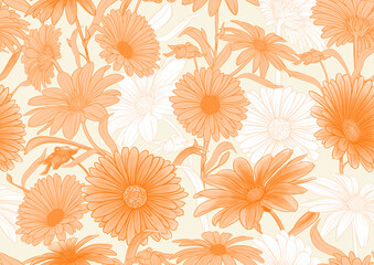 Calendula medicinal herbs and flowers seamless pattern, background. Vector illustration.