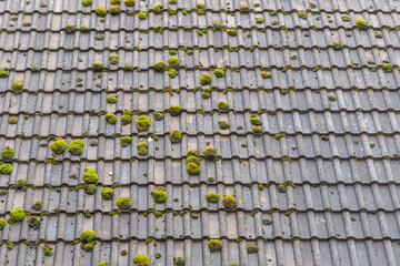 A horizontal texture of part of an old gray roof of clay tiles with green