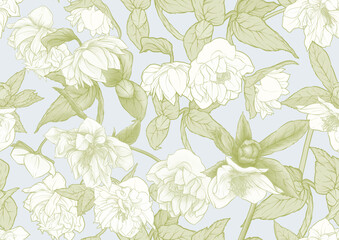 Fototapeta na wymiar White hellebore flowers, the first spring flowering ranunculus. Spring floral motif. Seamless pattern, background. Vector illustration in botanical style