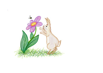 Hase schnuppert an einer Blume